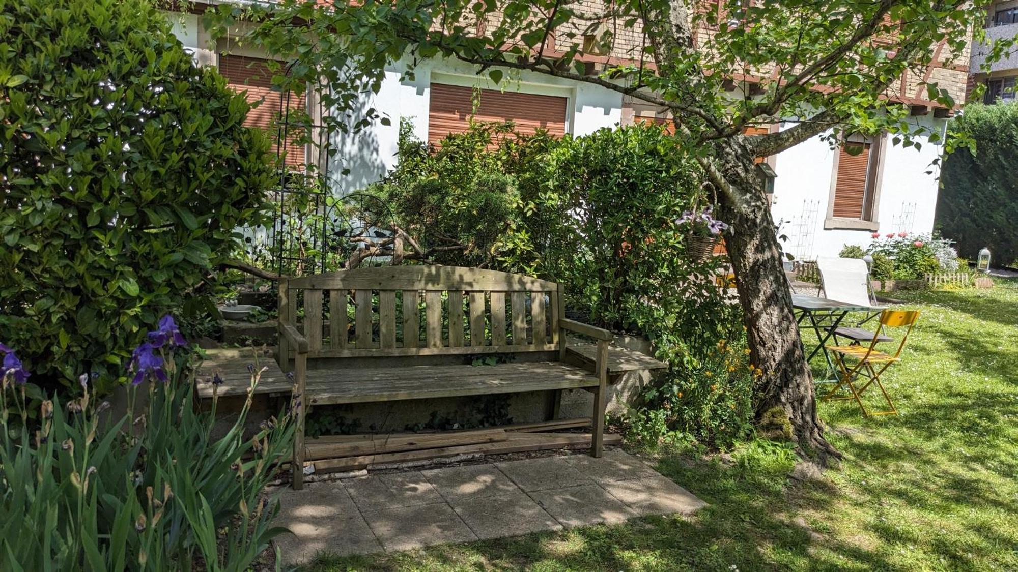 Le Petit Parc Apartman Colmar Kültér fotó